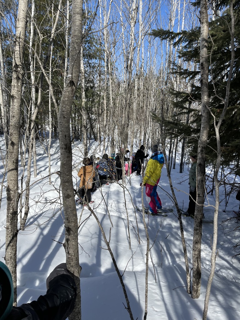 Snowshoeing