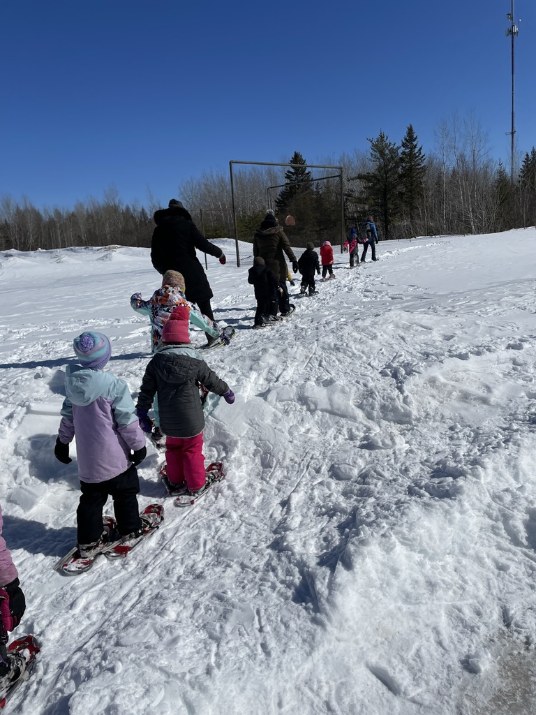 Snowshoeing