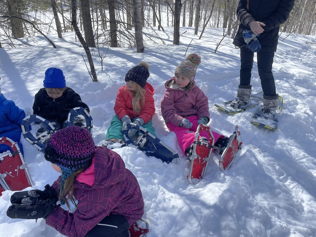 Snowshoeing